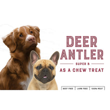 Load image into Gallery viewer, Deer Antler- superb as a chew treat