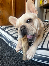 Load image into Gallery viewer, Deer Antler- superb as a chew treat