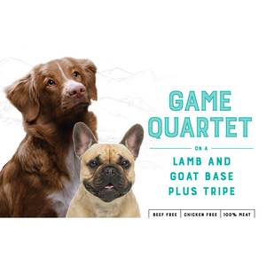 Canine Game Quartet (10kg)