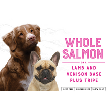 Load image into Gallery viewer, Canine Salmon &amp; Lamb (10kg)