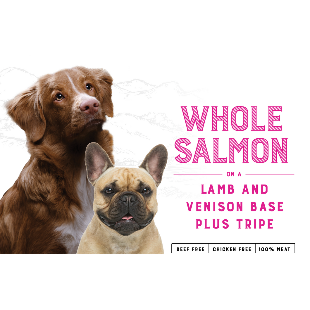 Canine Salmon & Lamb (10kg)